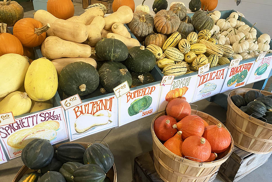 WEB squash display 950x636 flat
